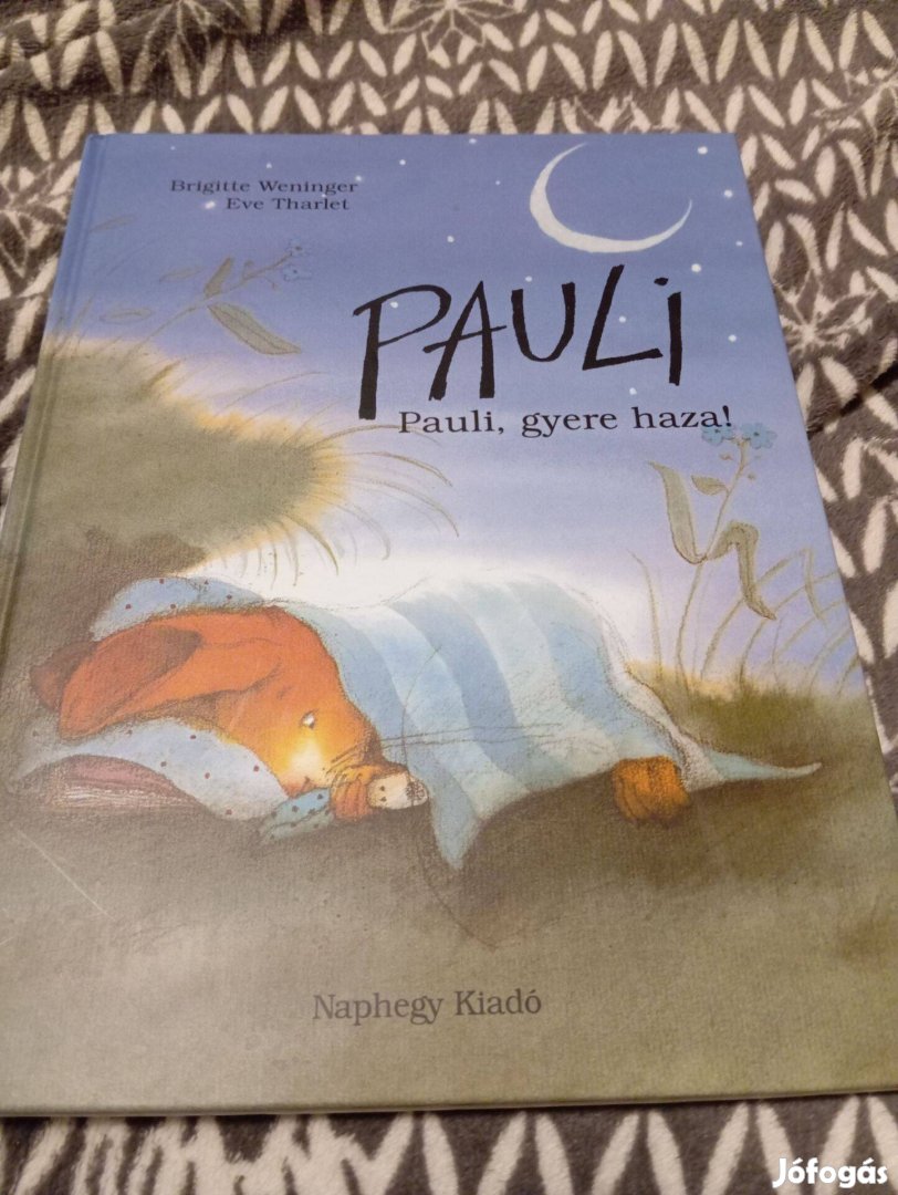 Brigitte Weninger: Pauli, gyere haza! (Pauli)