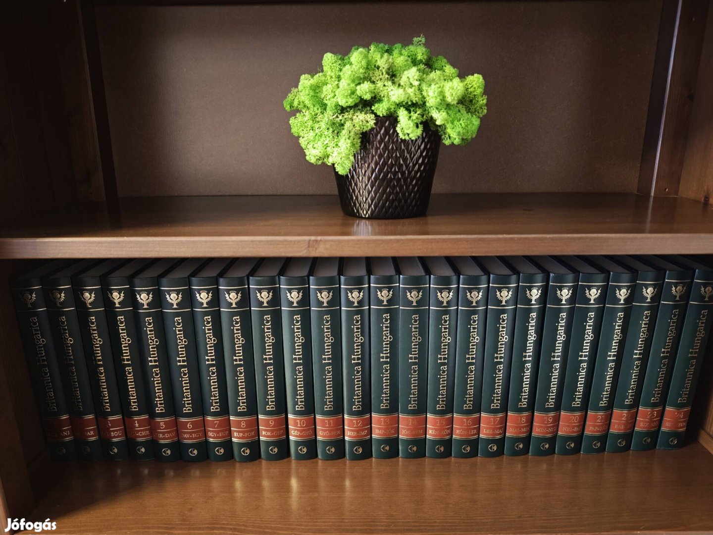 Britannica Hungarica lexikon