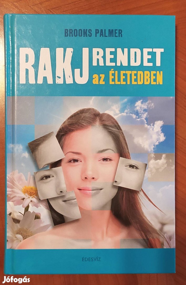 Brooks Palmer: Rakj rendet az életedben