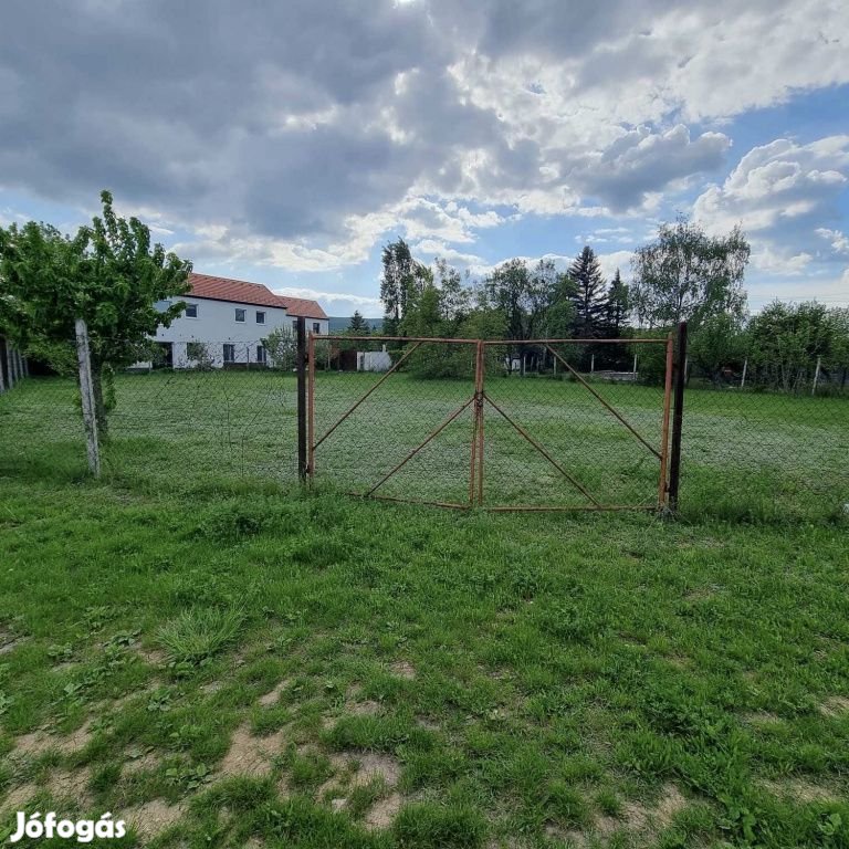 Budakalász, Dolinai utca, 1038 m2-es, telek