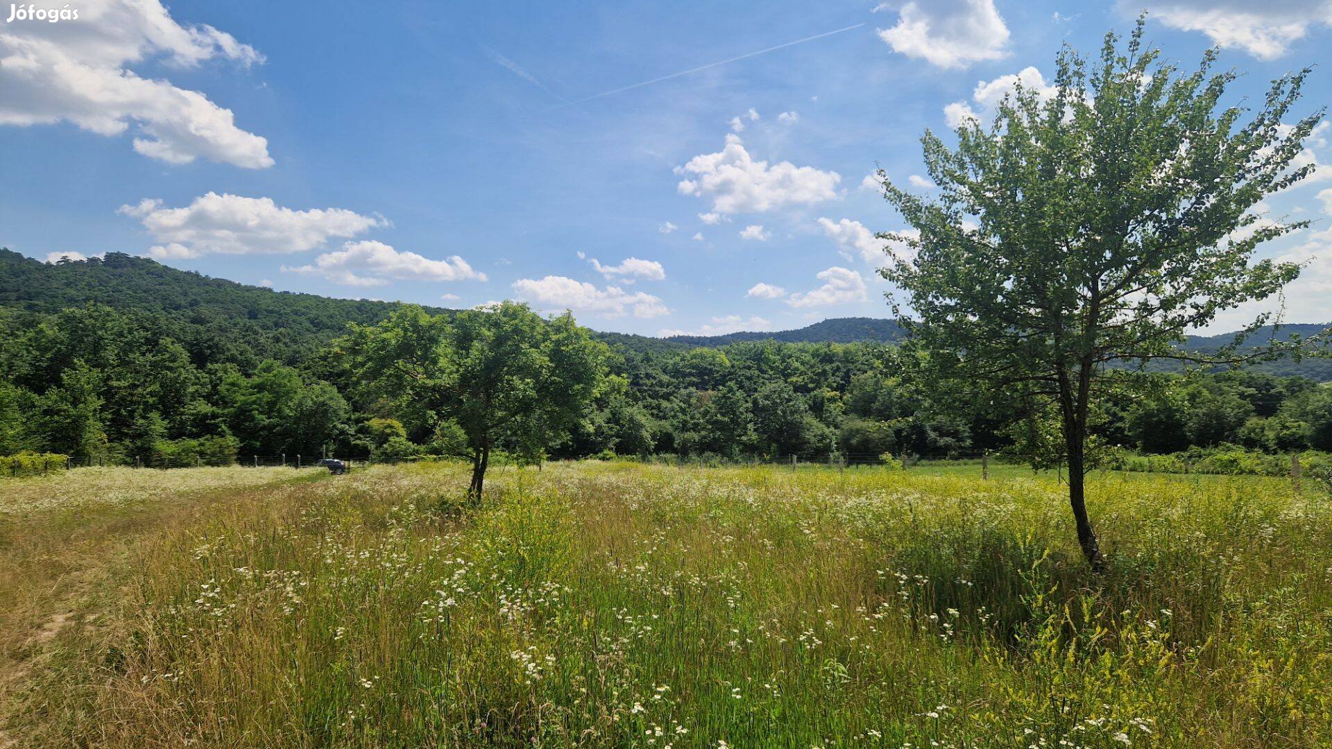 Budakeszi panorámás külterület eladó