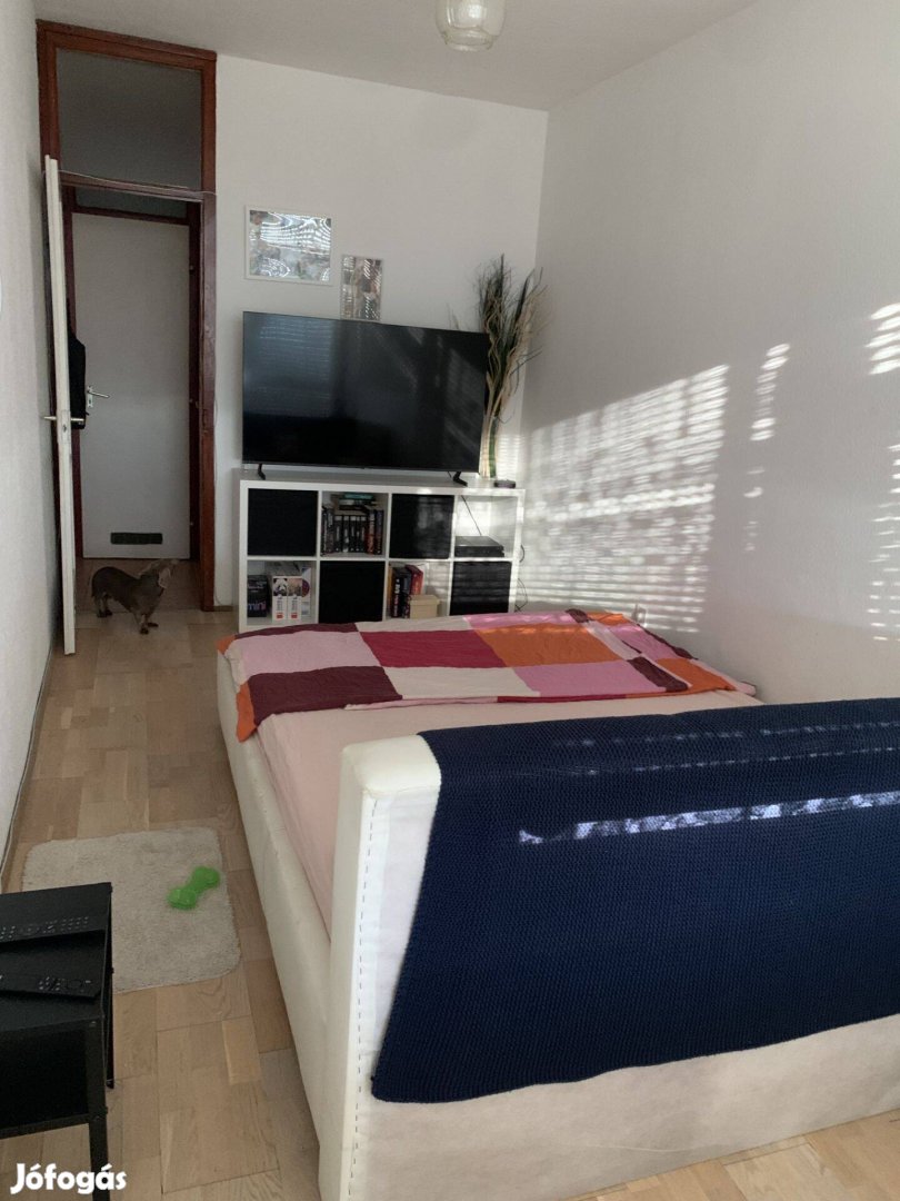 Budapest IV. kerület Izzó lakótelepen lakás eladó
