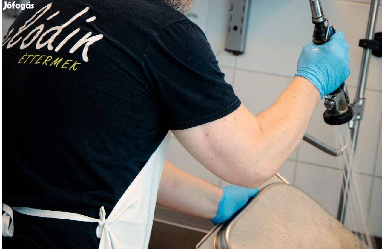 Budapest területére fekete mosogató kollégát keresünk