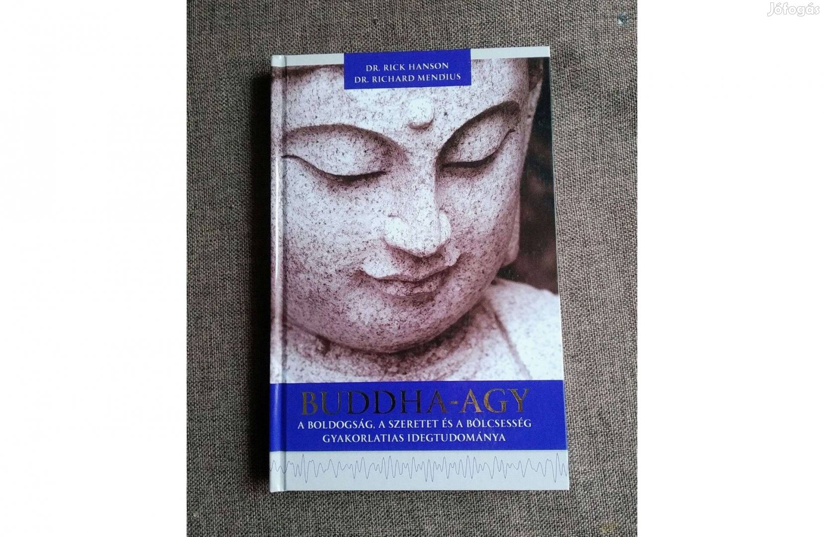 Buddha-agy Rick Hanson Dr.- Richard Mendius Dr. Agykontroll Kft., 2012