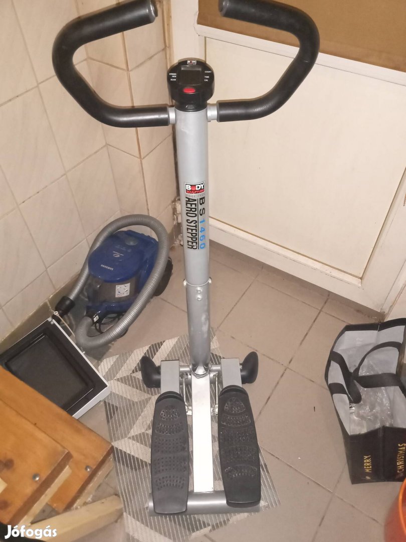 Budy Sulpture DS1460 Aerostepper
