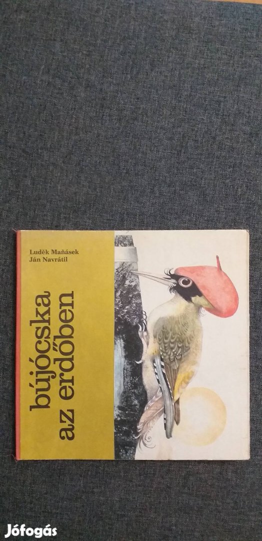 Bújócska az erdőben 1977. Gyerekkönyv, könyv