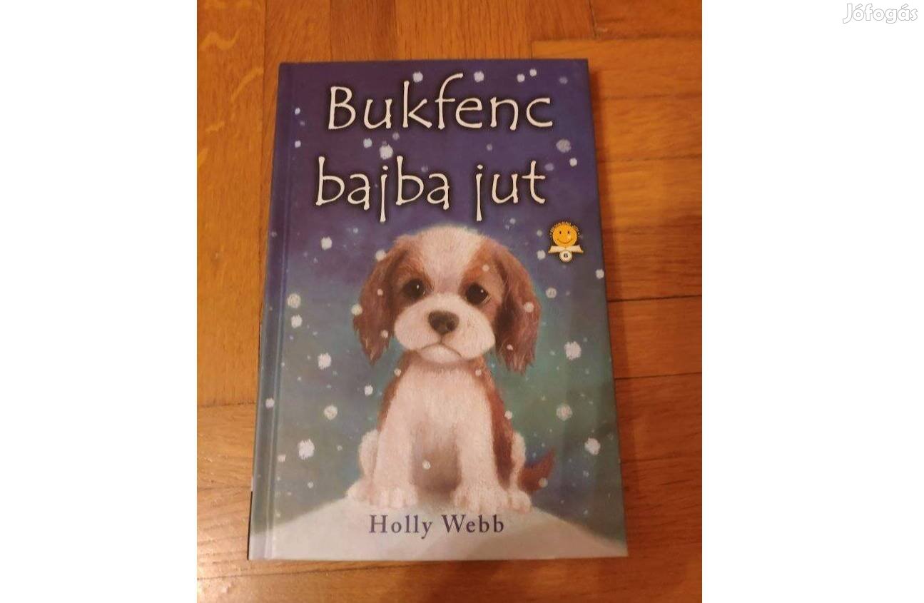 Bukfenc bajba jut
