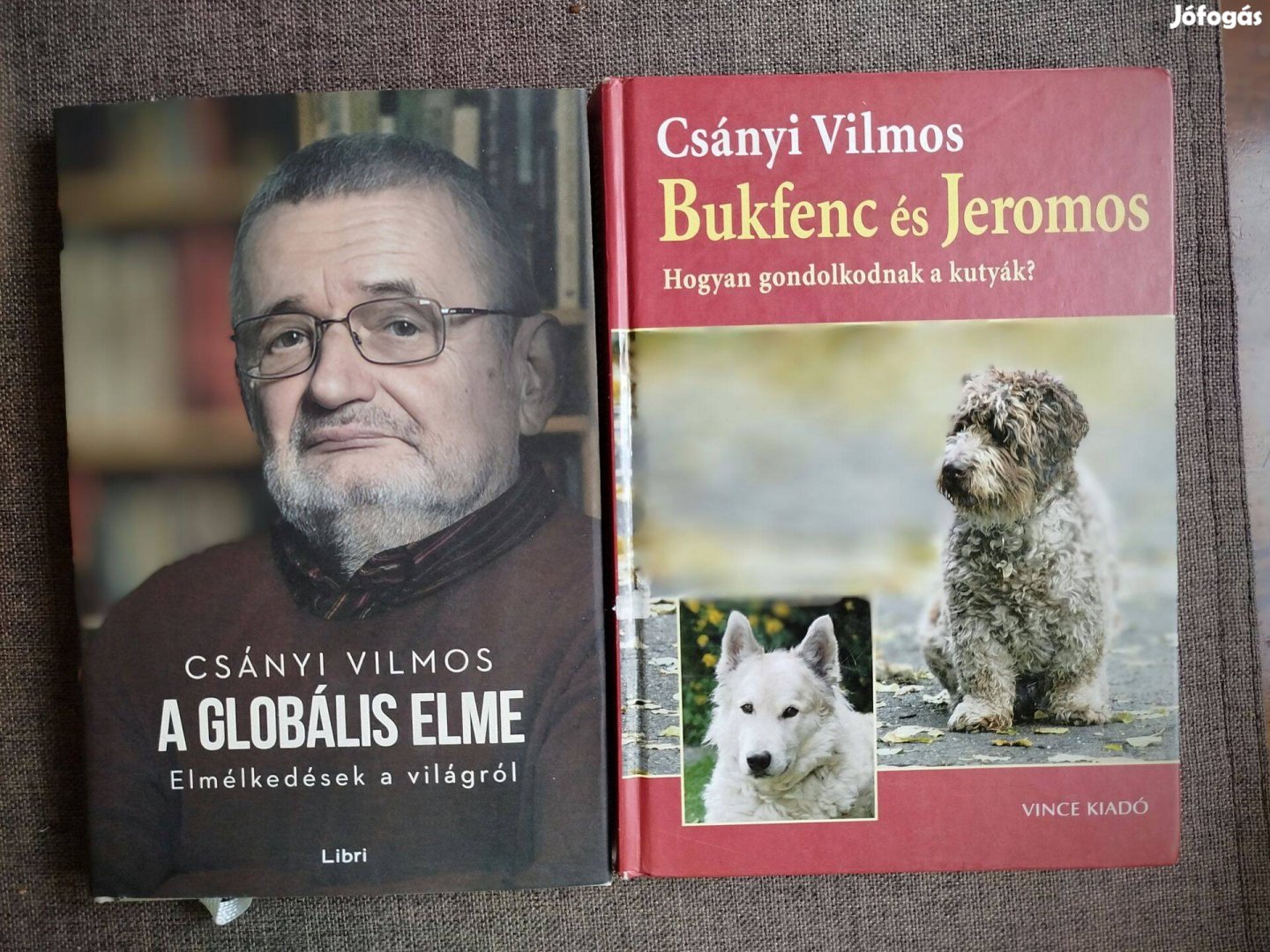 Bukfenc és Jeromos Csányi Vilmos