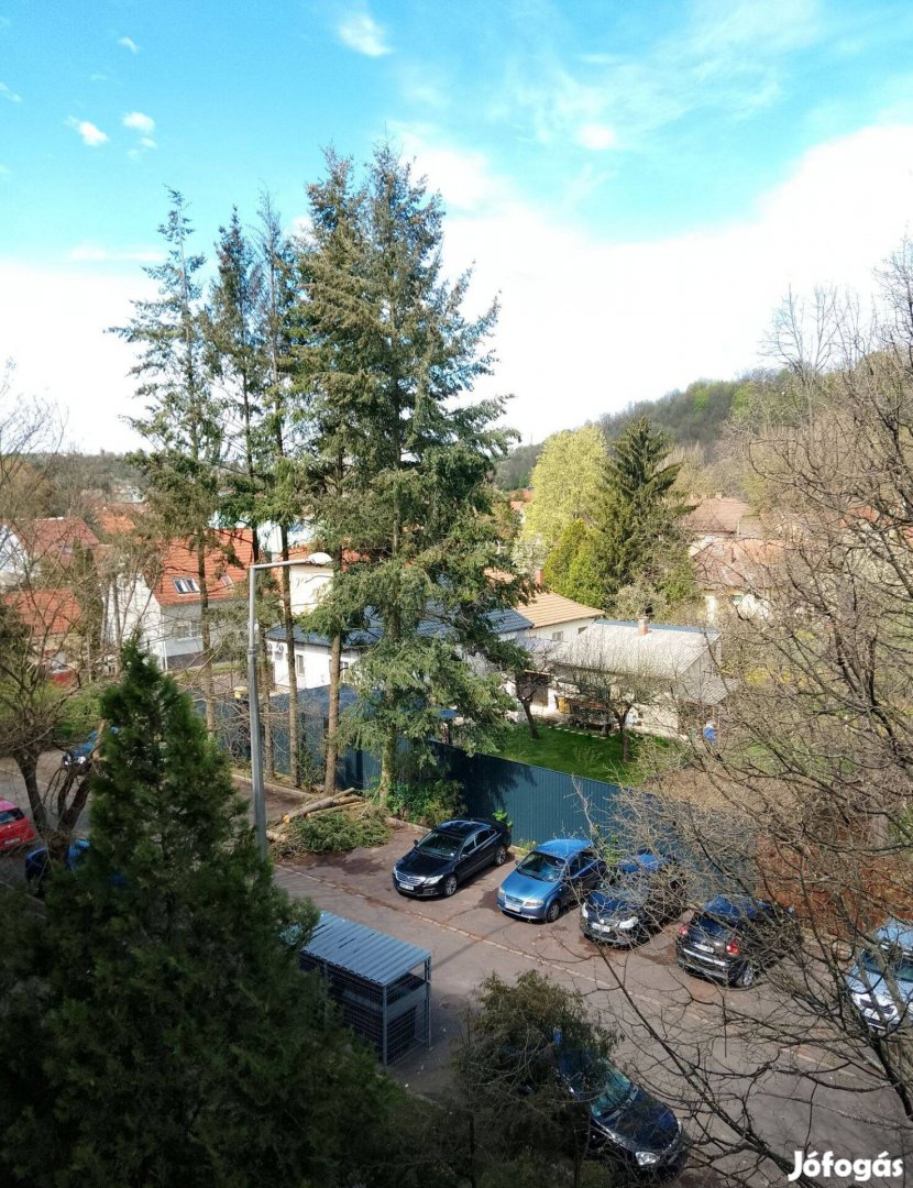 Bükk áruház mögött 2 szobás,erkélyes lakás eladó