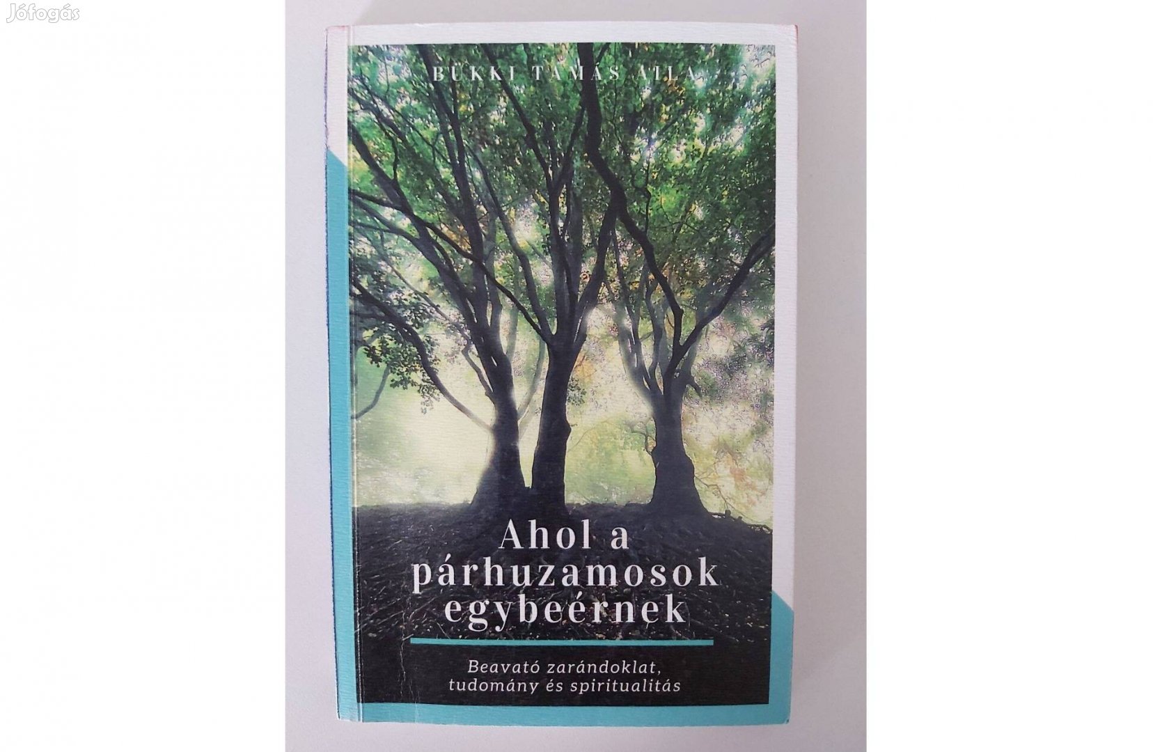 Bükki Tamás Aila: Ahol a párhuzamosok egybeérnek