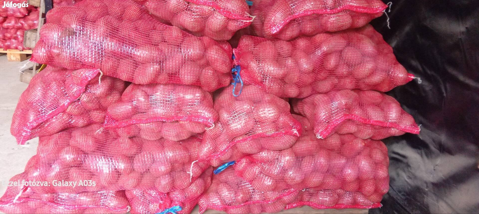 Burgonya Bellarosa, Balatoni Rózsa