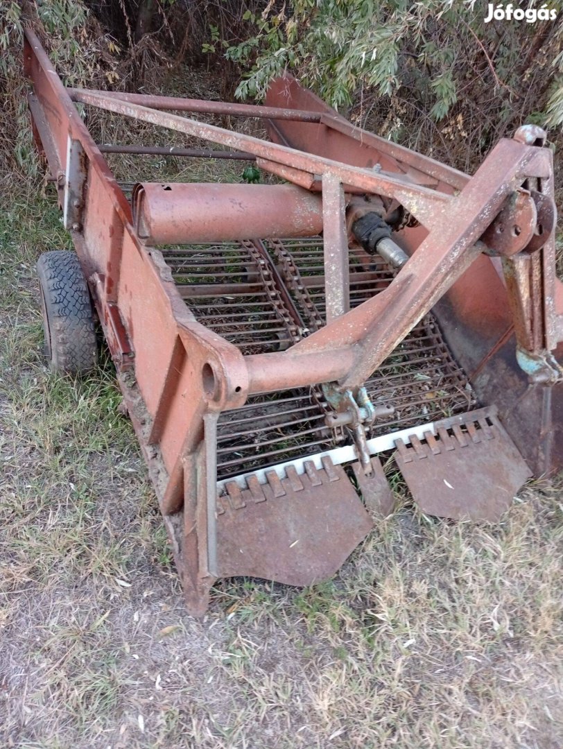 Burgonya hagyma rázó