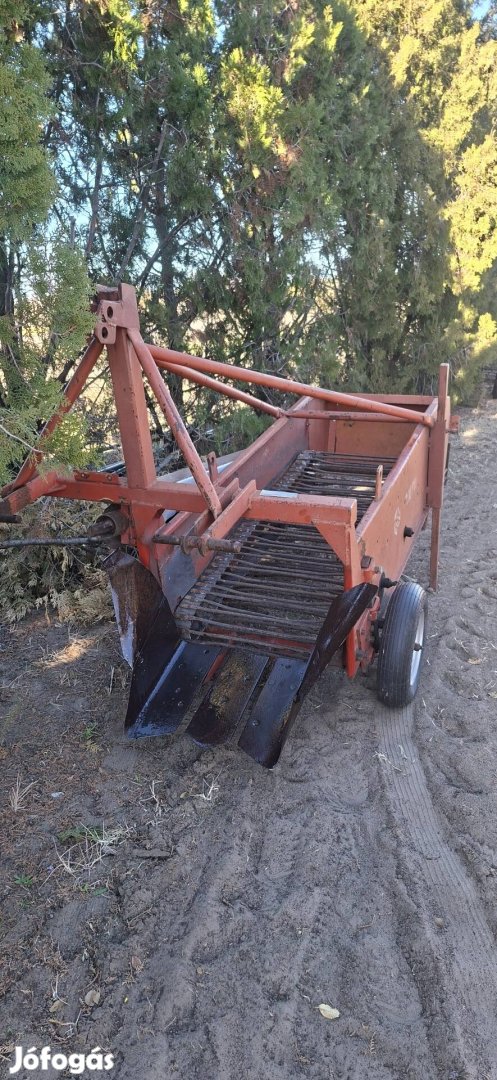 Burgonyarázó, burgonyaszedő 