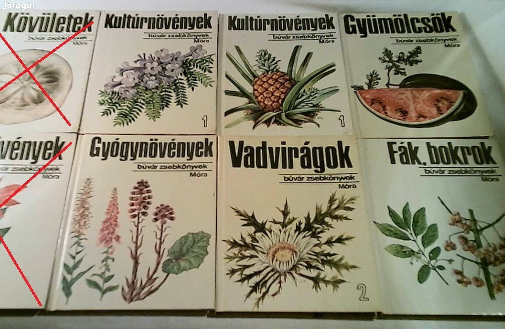Búvár Zsebkönyvek 6 db növények témakörben 900 Ftdb