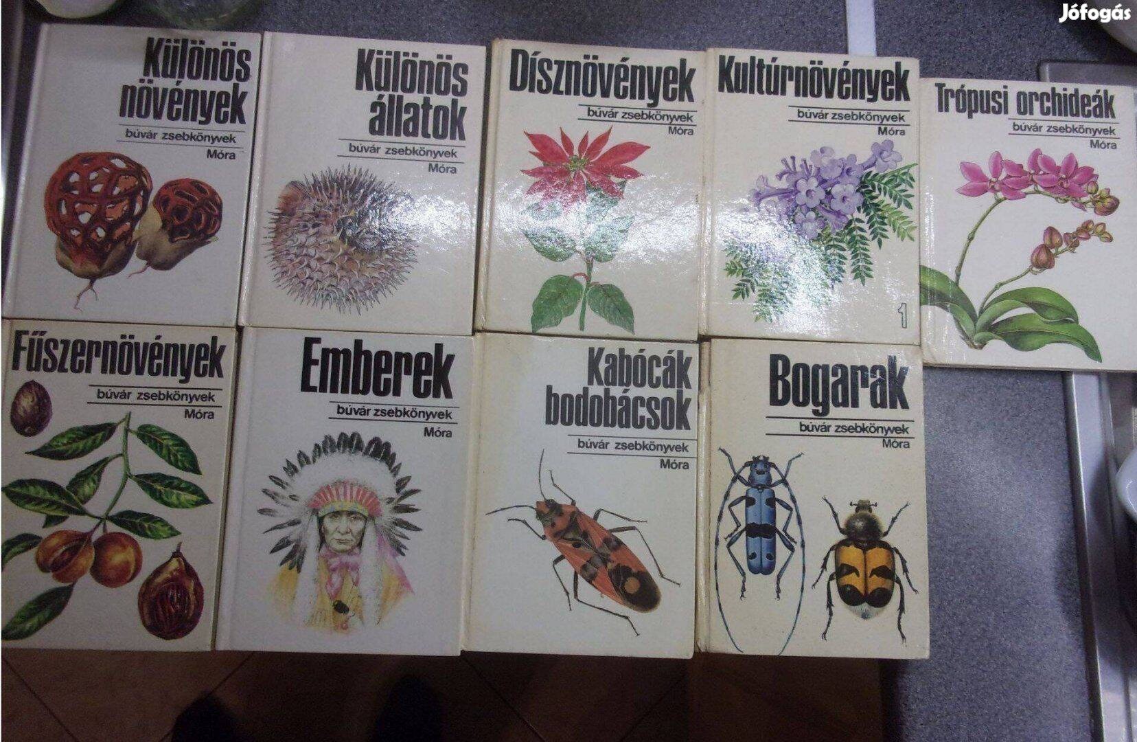 Búvár Zsebkönyvek sorozat 9 kötete külön Újpest központ