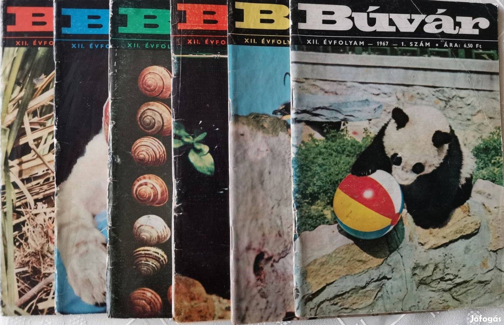 Búvár folyóirat 1967 (teljes, tűzött)