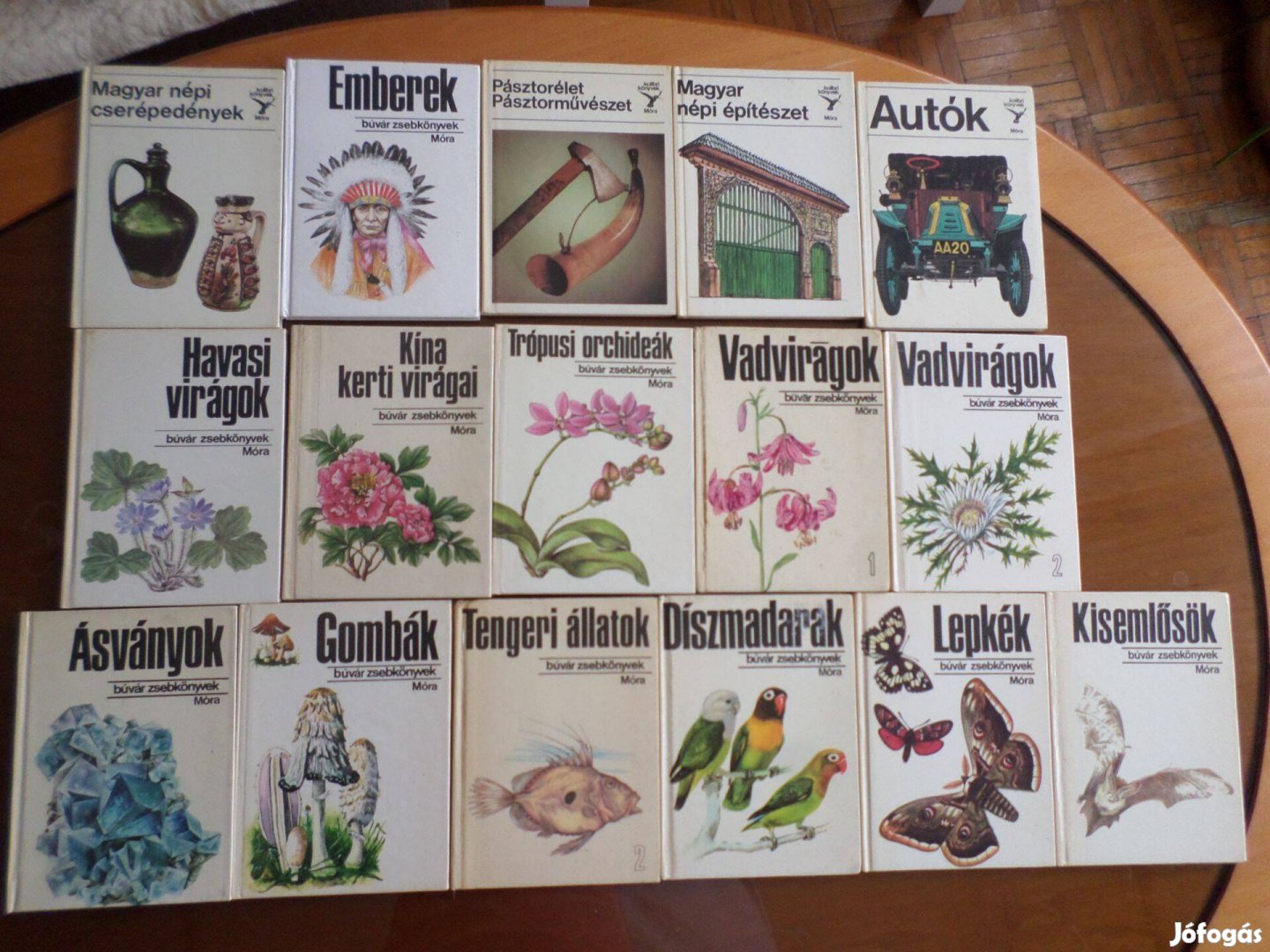 Búvár zsebkönyv, kolibri könyvek, Kisemlősök Gyermekkönyv