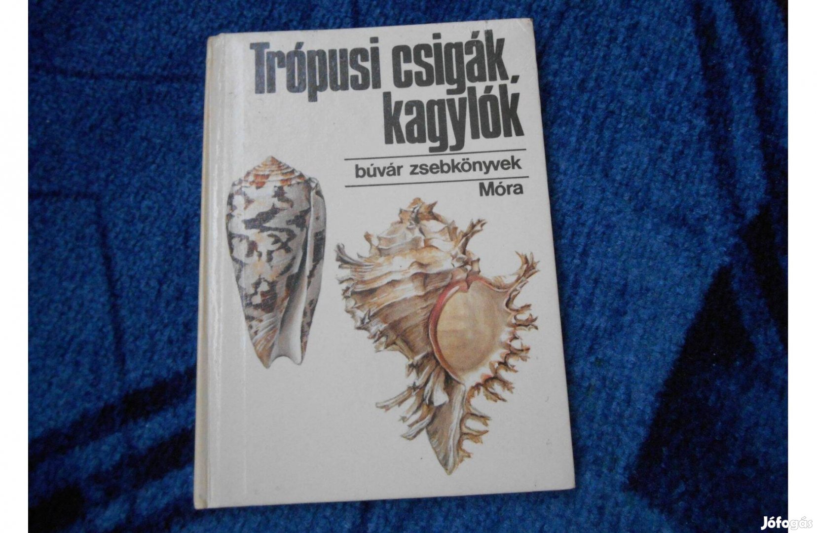 Búvár zsebkönyvekPodani JánosTrópusi csigák, kagylók