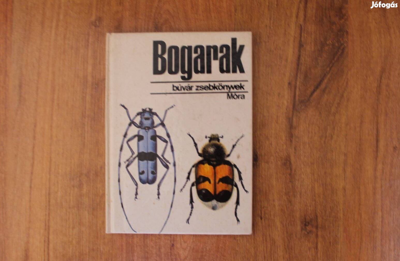 Búvár zsebkönyvek - Bogarak