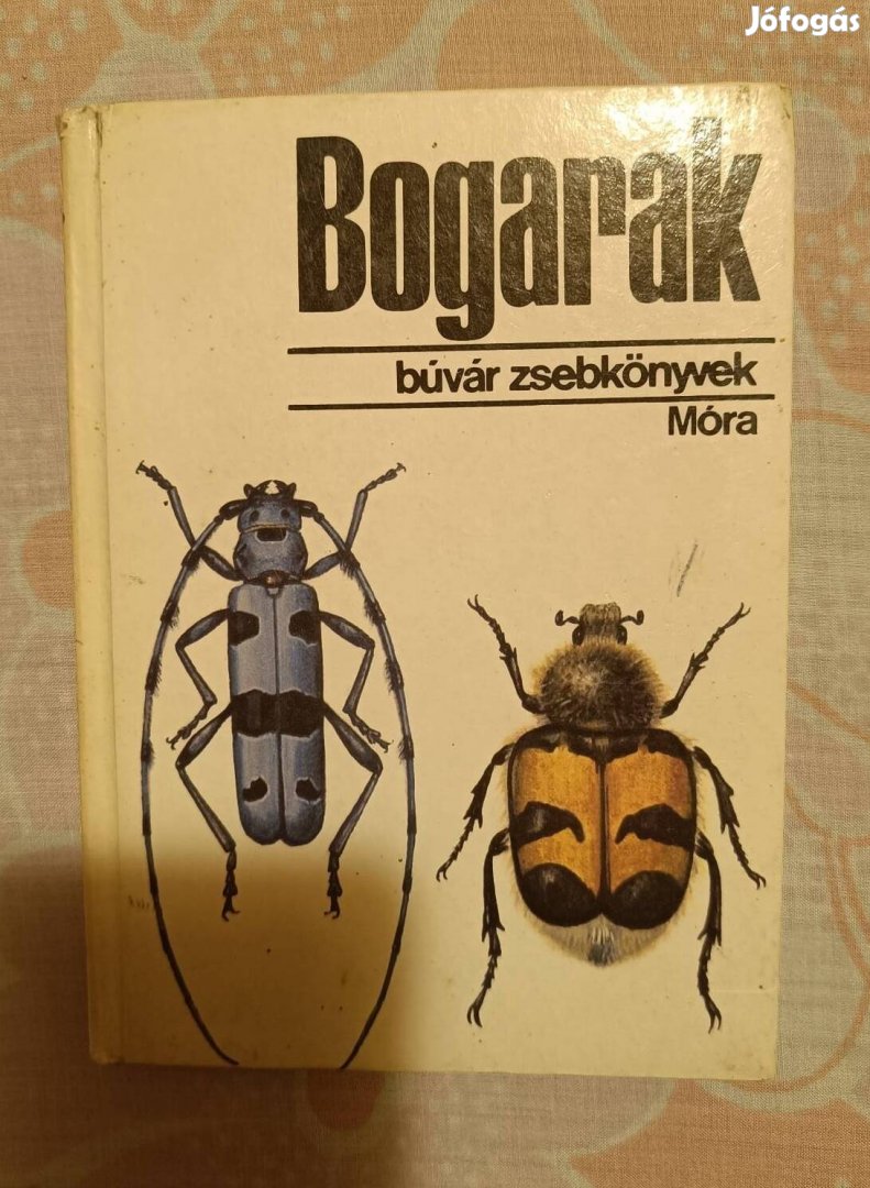 Búvár zsebkönyvek - Bogarak című könyv