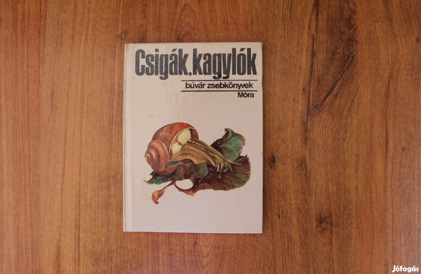 Búvár zsebkönyvek - Csigák, kagylók