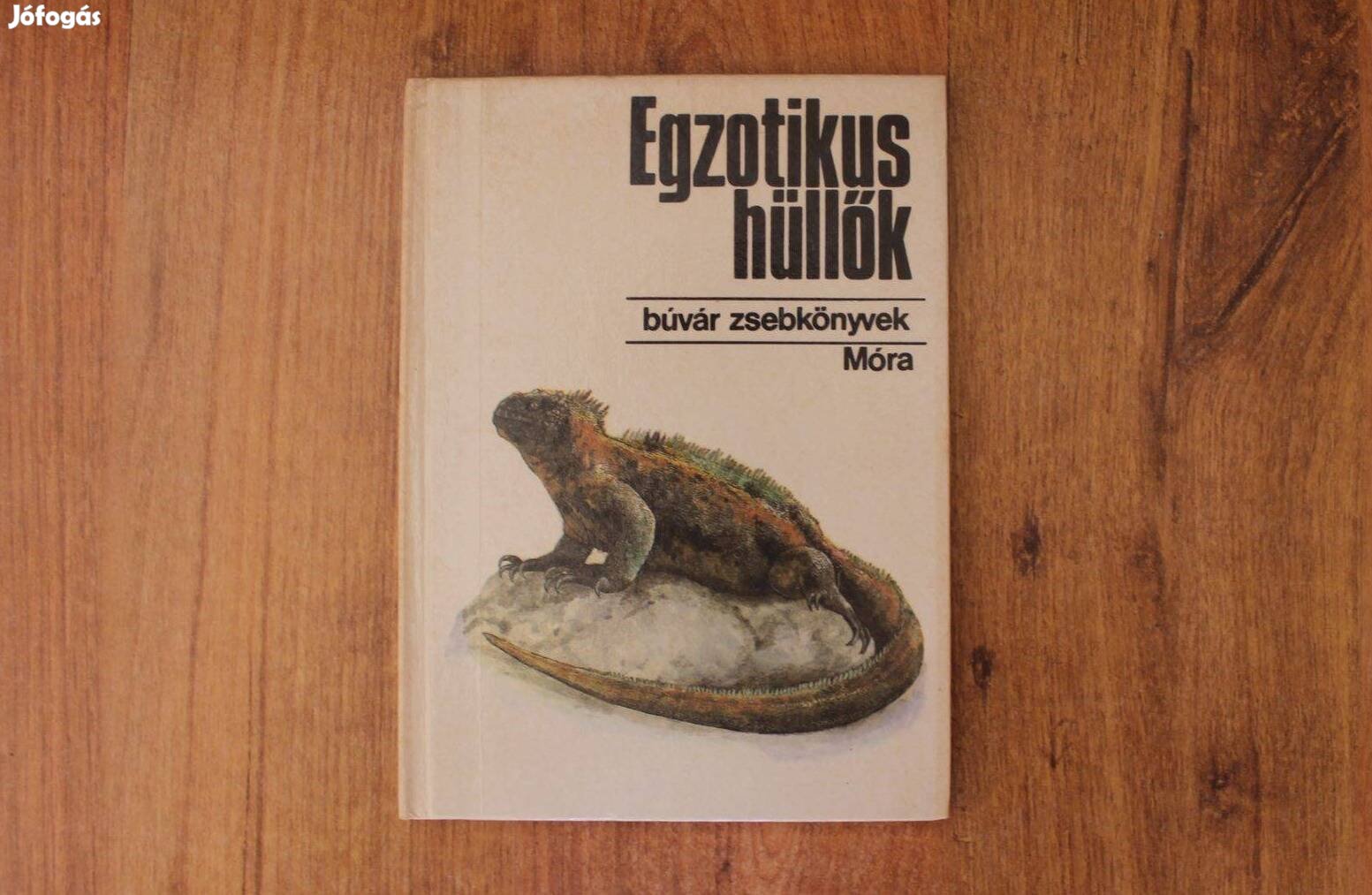 Búvár zsebkönyvek - Egzotikus hüllők