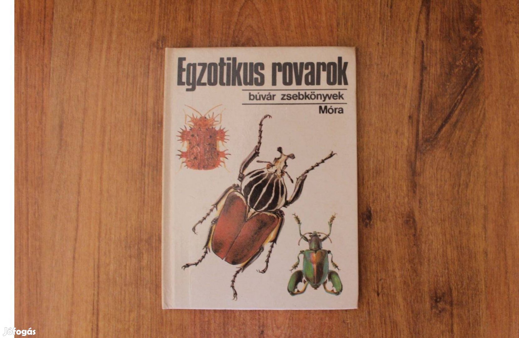 Búvár zsebkönyvek - Egzotikus rovarok