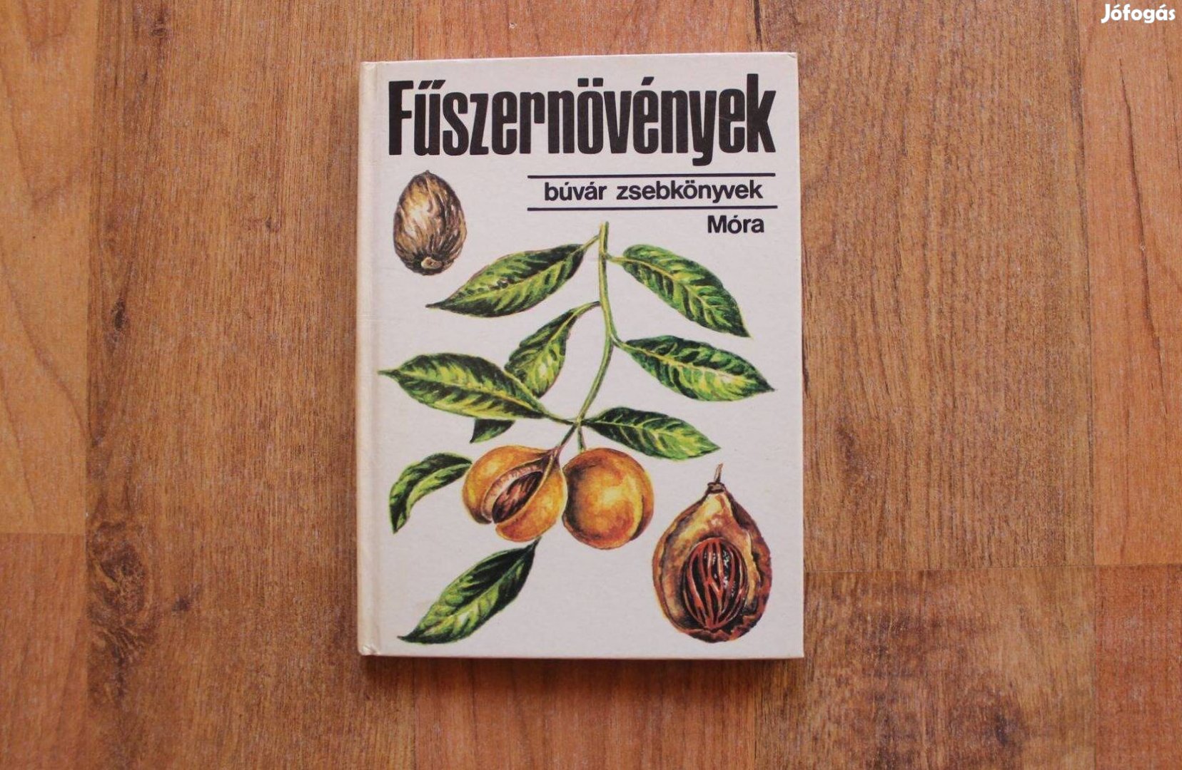Búvár zsebkönyvek - Fűszernövények