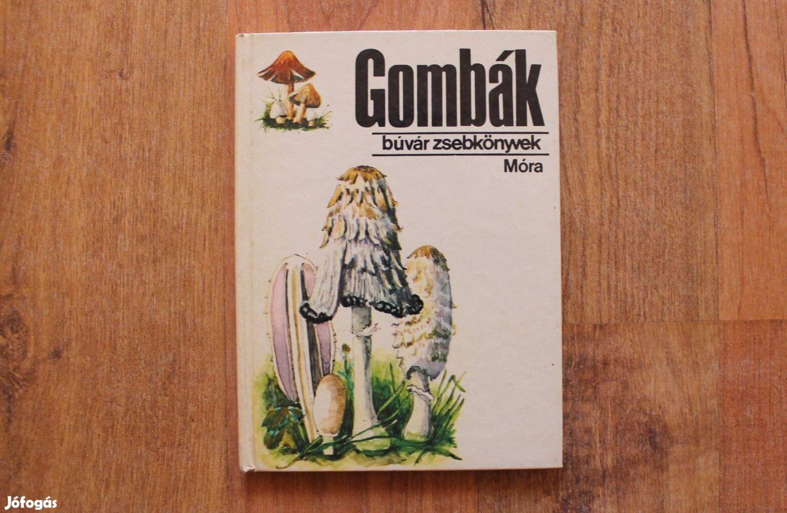 Búvár zsebkönyvek - Gombák