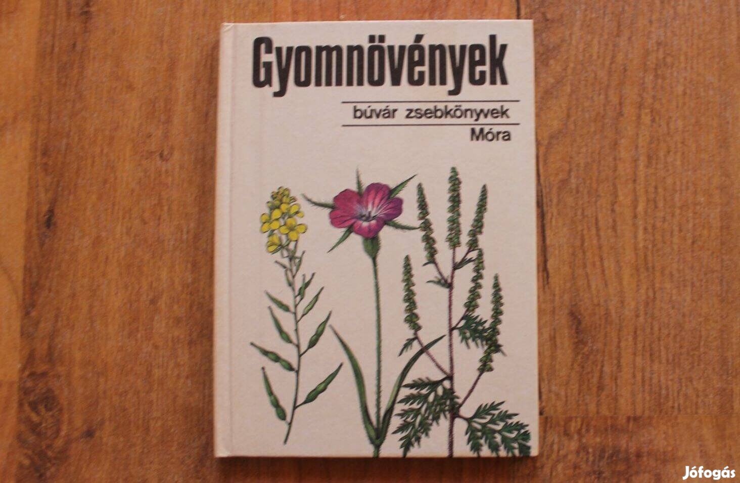 Búvár zsebkönyvek - Gyomnövények
