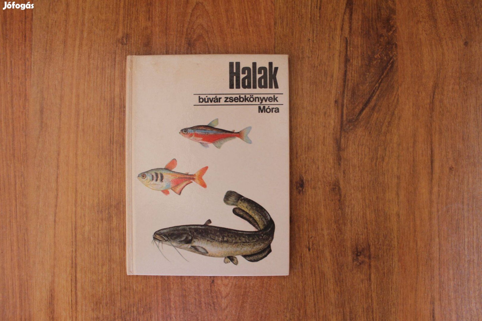 Búvár zsebkönyvek - Halak ( 1988-as kiadás )