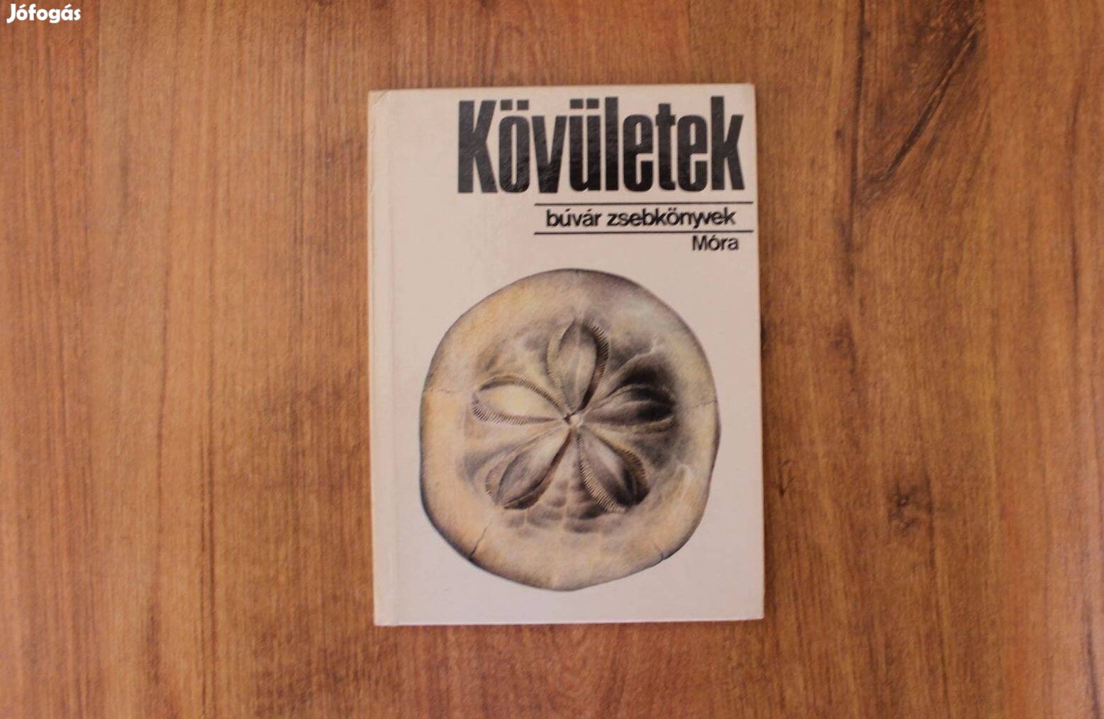 Búvár zsebkönyvek - Kövületek