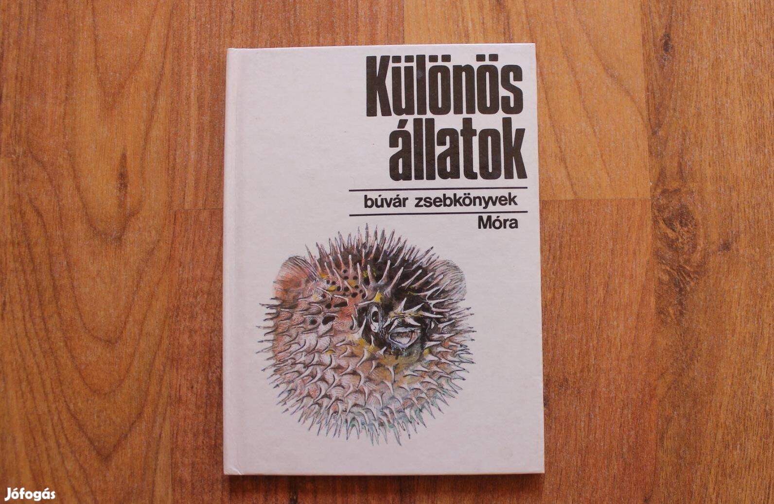 Búvár zsebkönyvek - Különös állatok