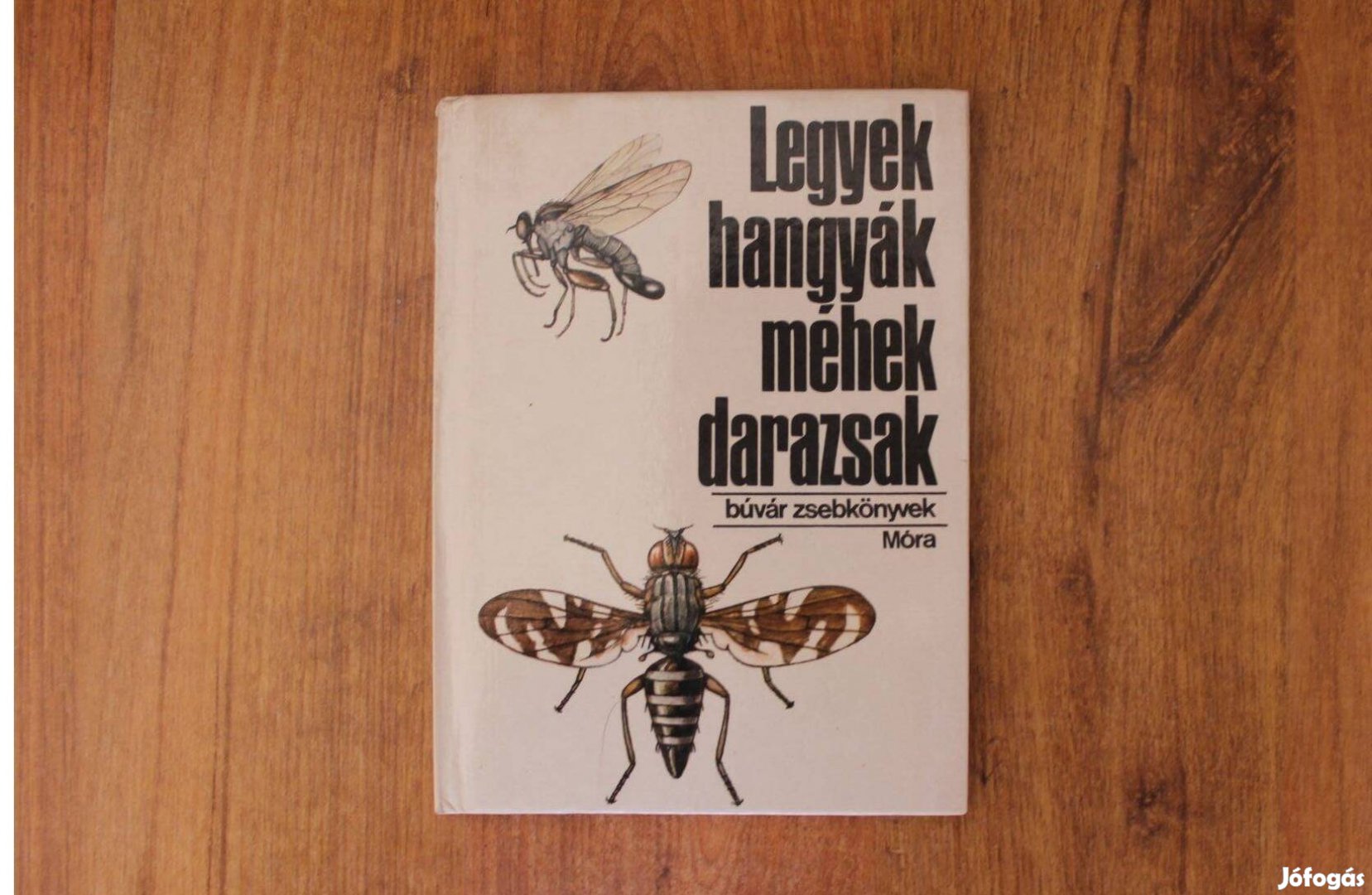 Búvár zsebkönyvek - Legyek, hangyák, méhek, darazsak