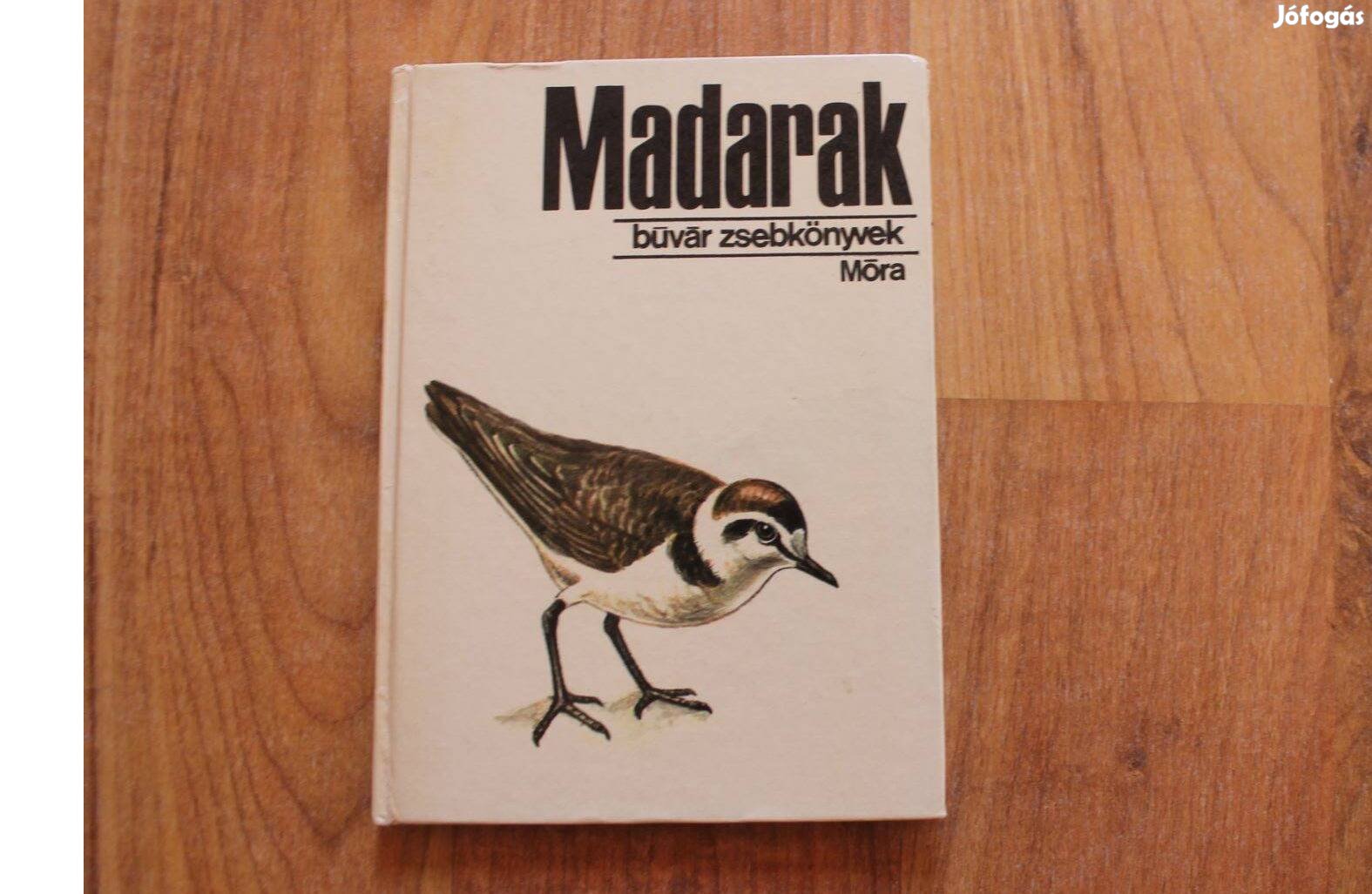 Búvár zsebkönyvek - Madarak
