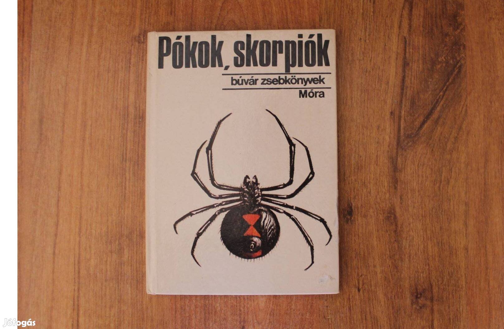 Búvár zsebkönyvek - Pókok, skorpiók