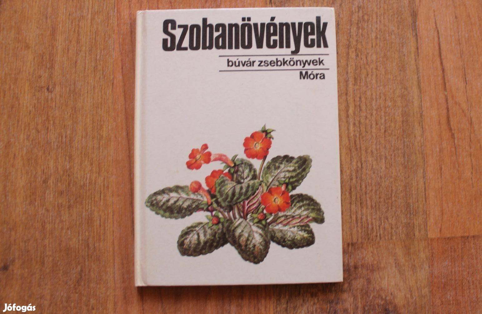 Búvár zsebkönyvek - Szobanövények