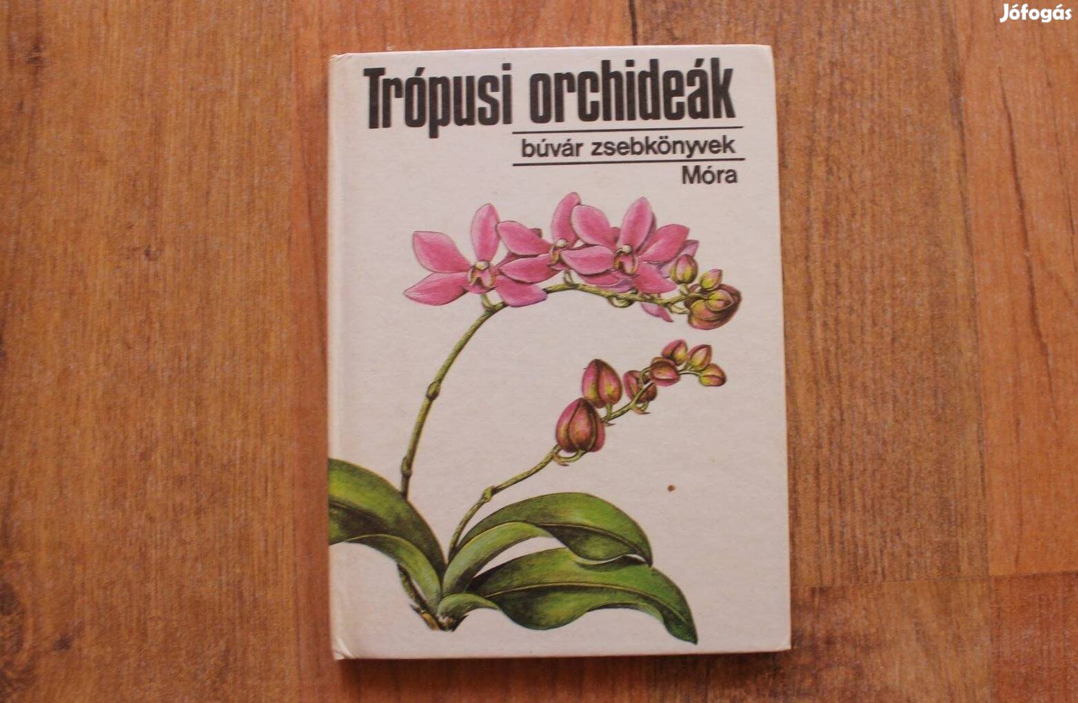 Búvár zsebkönyvek - Trópusi orchideák