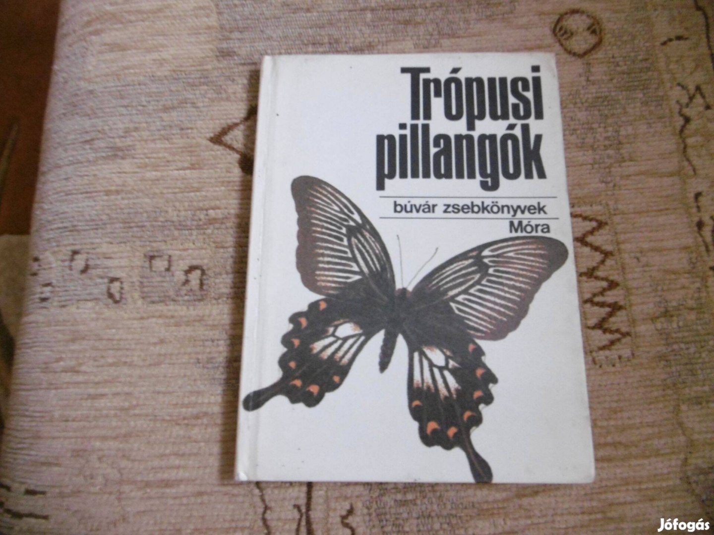 Búvár zsebkönyvek - Trópusi pillangók című könyv