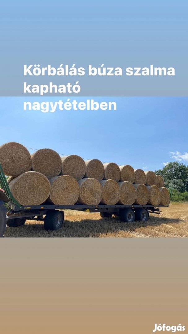 Búza szalma körbála eladó nagy tételben 