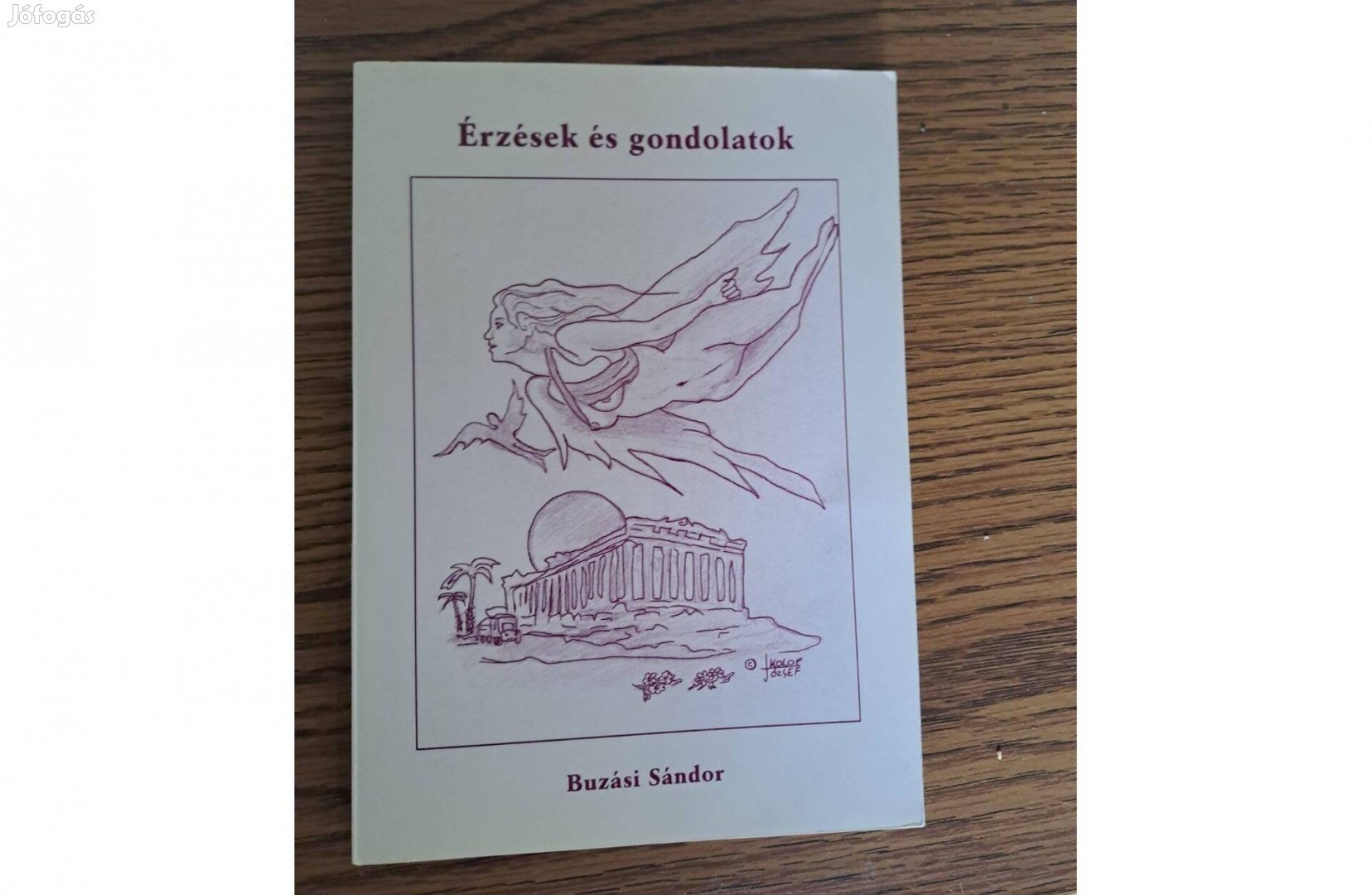 Buzási Sándor - Érzések és gondolatok