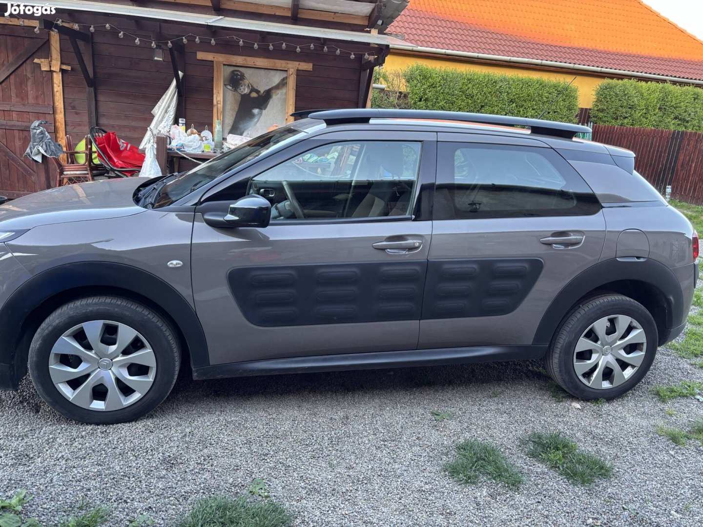 C4 Cactus 1.2 Puratech