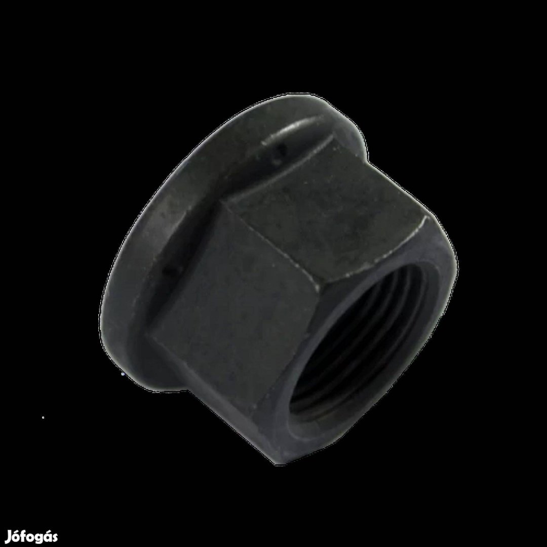 CAT Felni Anya 2011919