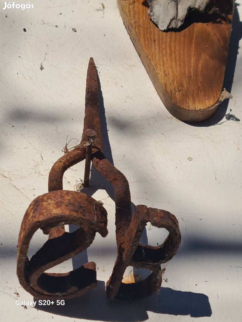 CS B billogvas eladó Hortobágyon.