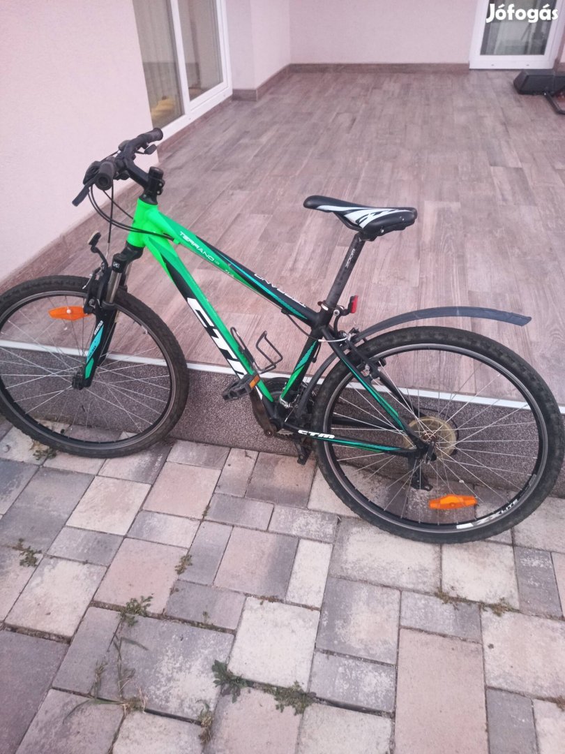 CTM Terrano 1.0 zöld montain bike 