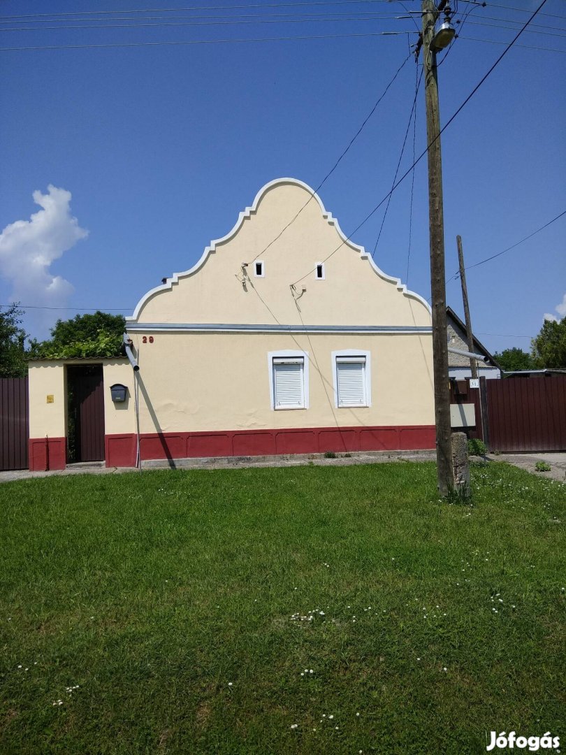 Cakkos homlokú ház