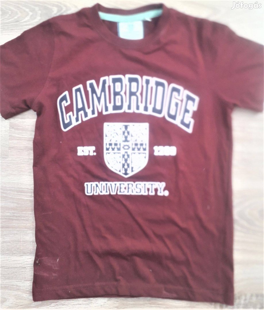 Cambridge university- póló - S