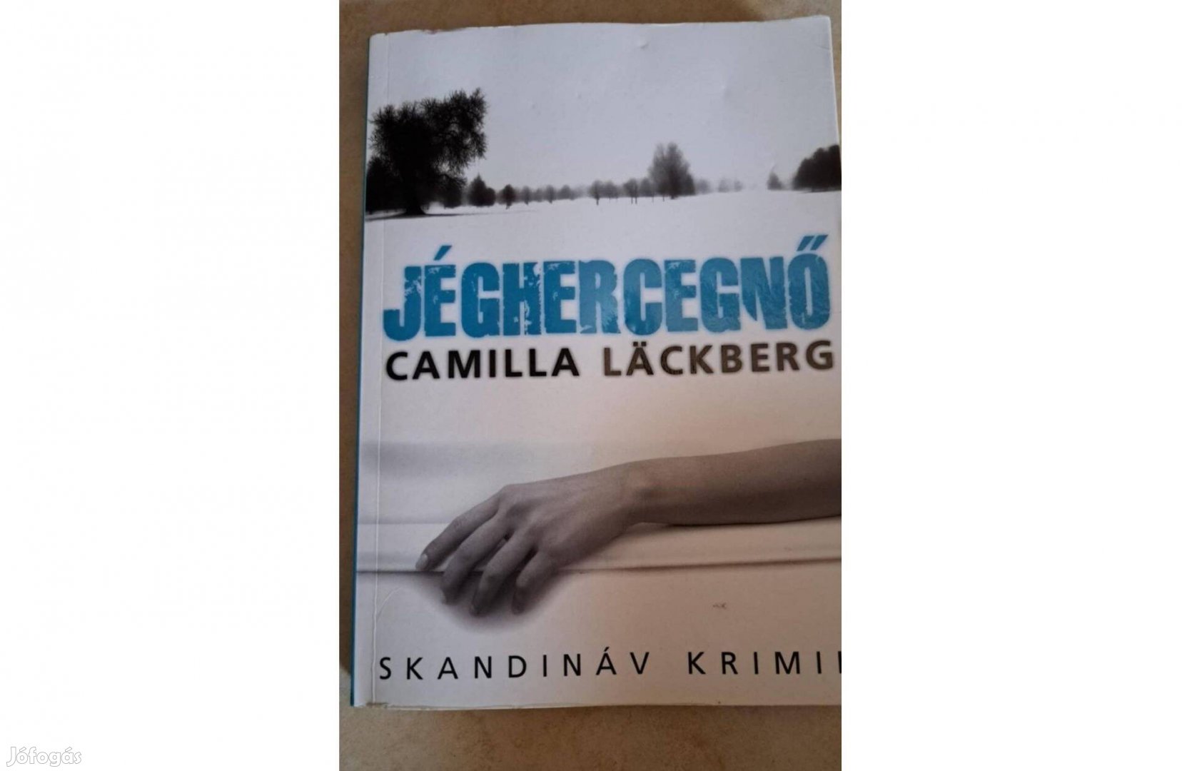 Camilla Lackberg: Jéghercegnő