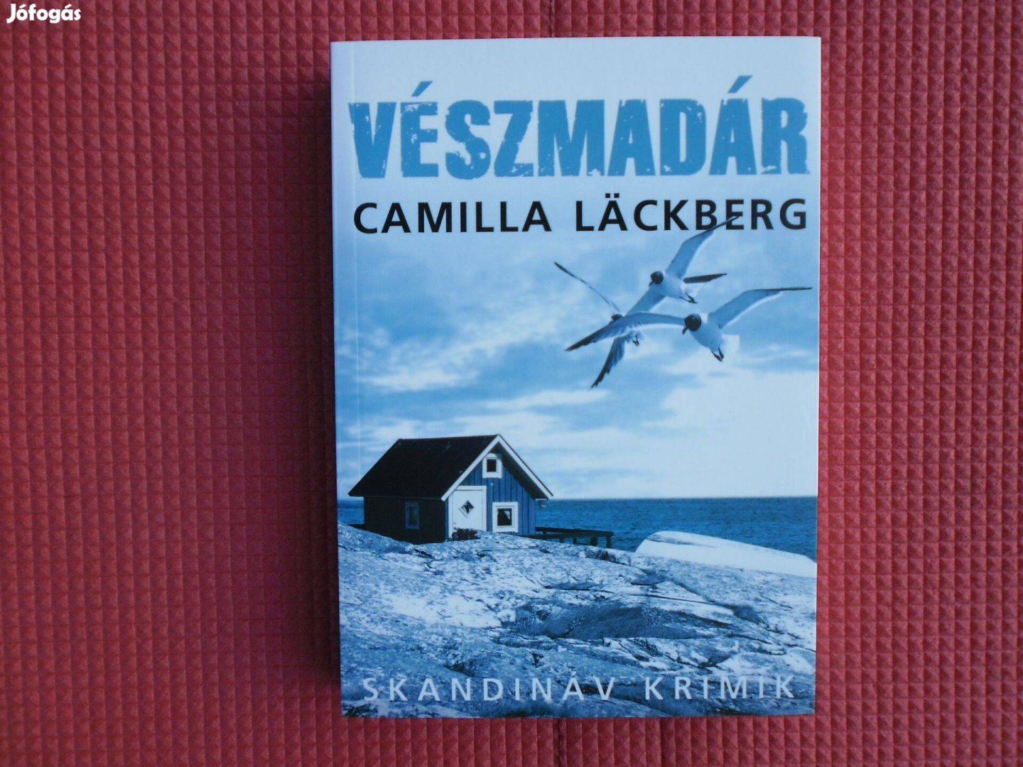 Camilla Lackberg: Vészmadár /Skandináv krimik/