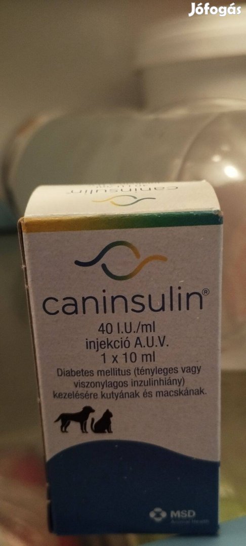 Caninsulin és fecskendő